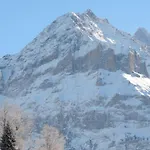 Schwendiboden Lejlighed Grindelwald