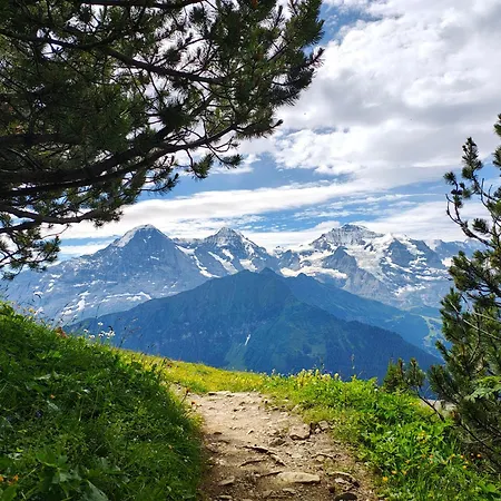 슈벤디보덴 그린델발트