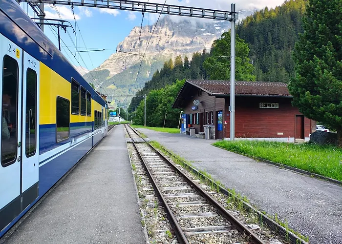 Schwendiboden Apartment *