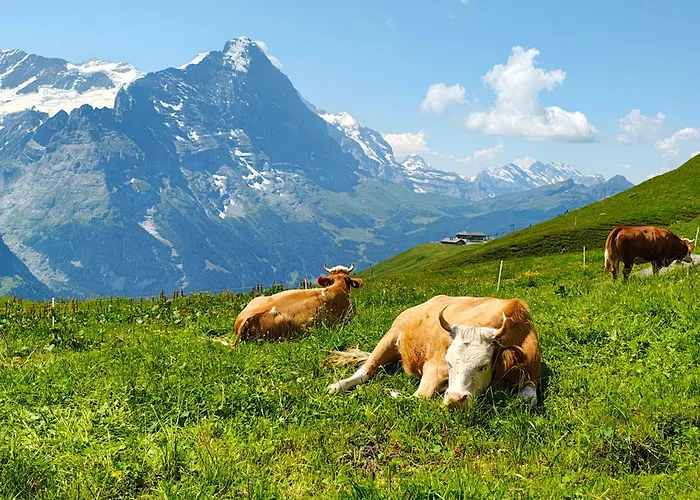 Schwendiboden Apartment Grindelwald