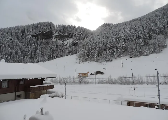 Appartement Schwendiboden *