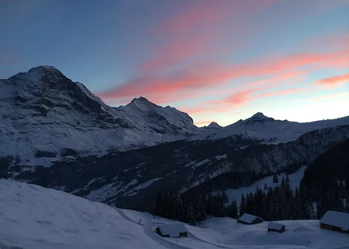 Schwendiboden Apartment