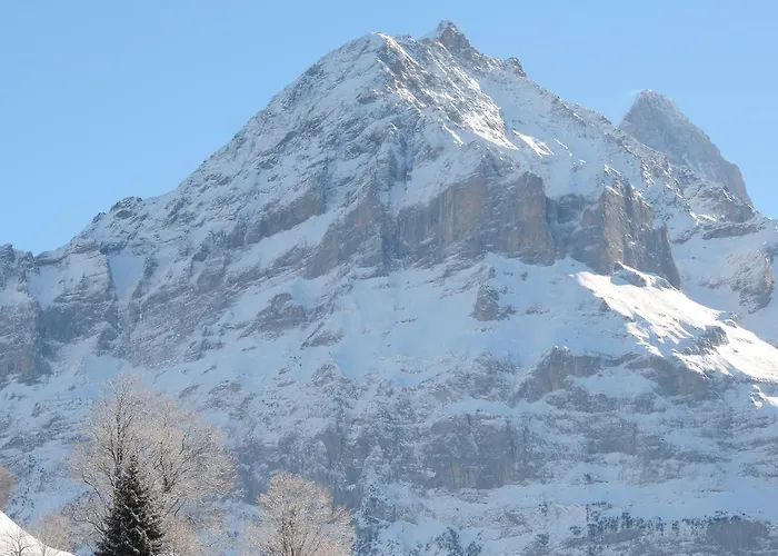 Schwendiboden Apartment Grindelwald
